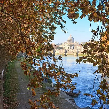Vatican Domus-2